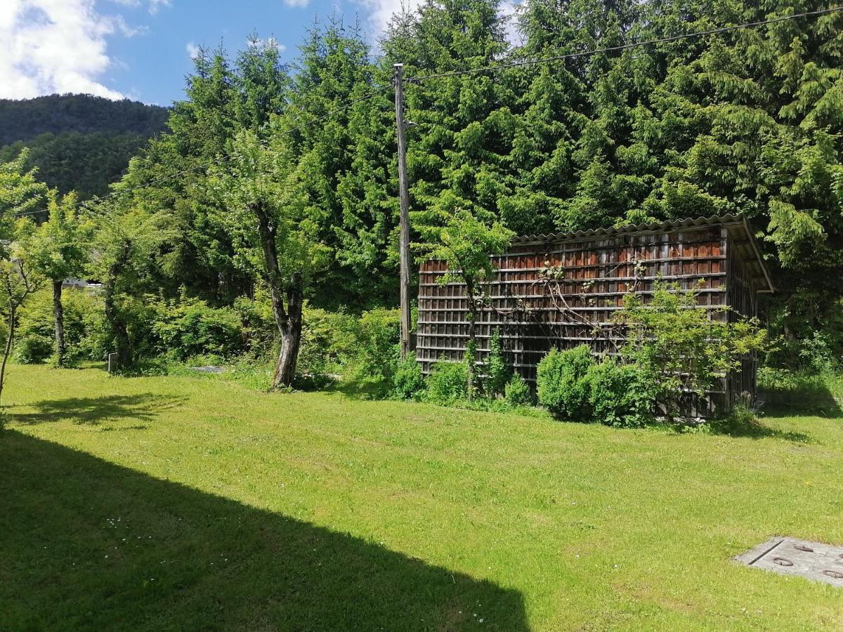 Apartment House Andrej Bohinj Exterior photo